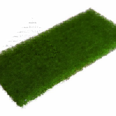 RANDREINIGUNGSPAD GRÜN